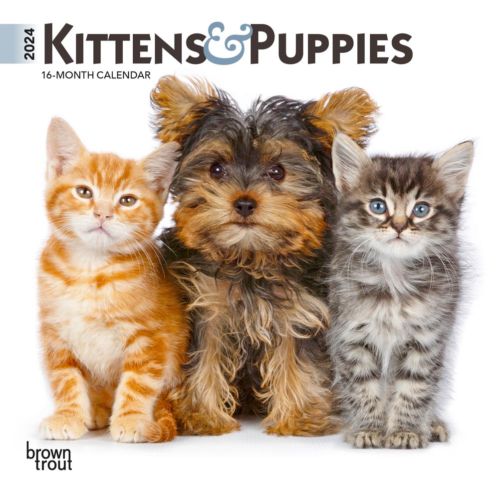 Kittens & Puppies  2024 7 x 14 Inch Monthly Mini Wall Calendar