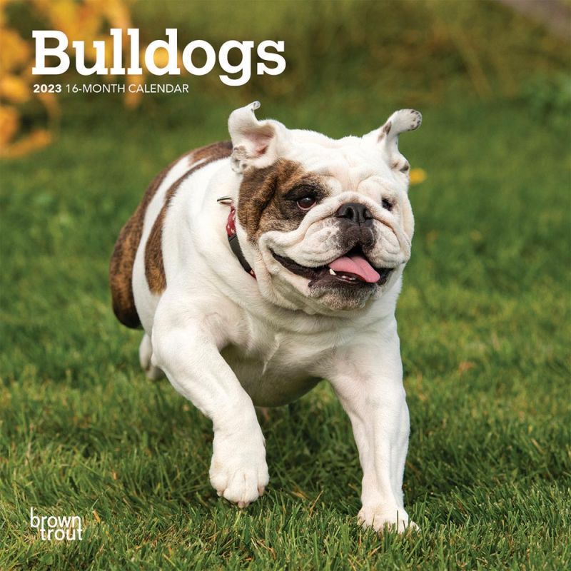 Bulldogs 2023 7 x 14 Inch Monthly Mini Wall Calendar