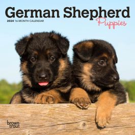 German Shepherd Puppies 2024 7 X 14 Inch Monthly Mini Wall Calendar   9781975462819.MAIN 