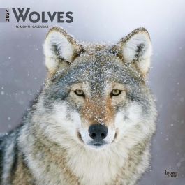 Wolves | 2024 12 x 24 Inch Monthly Square Wall Calendar
